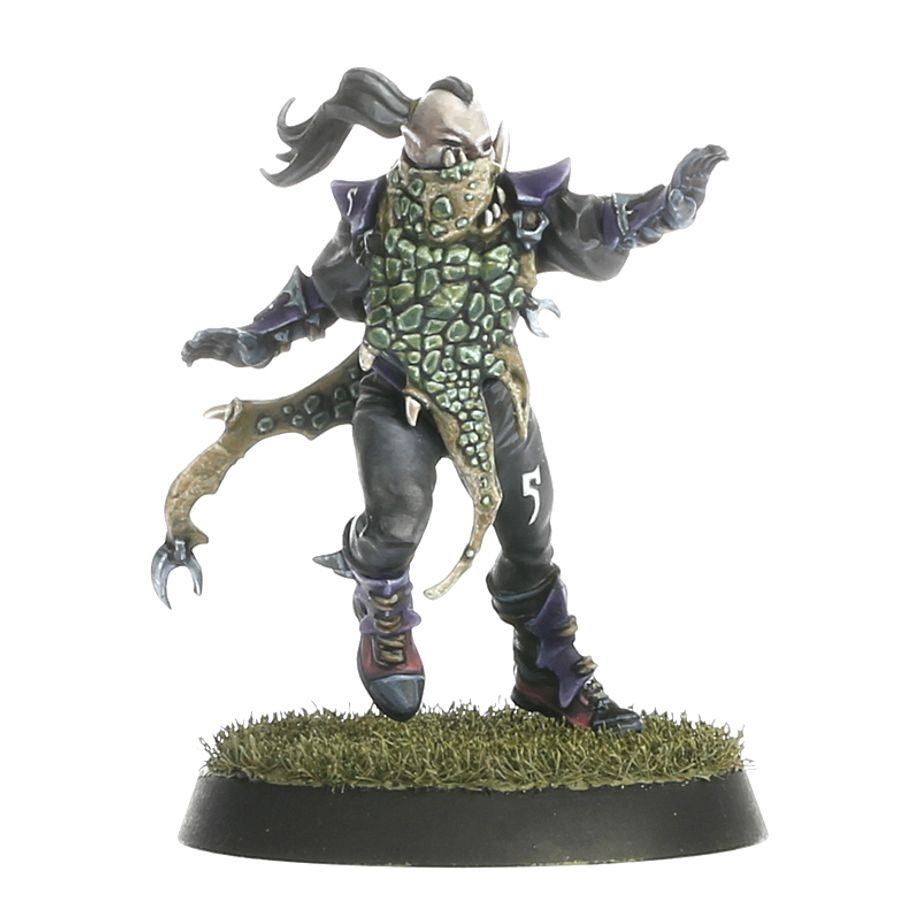 Dark Elf Blood Bowl Team – Naggaroth Nightmares