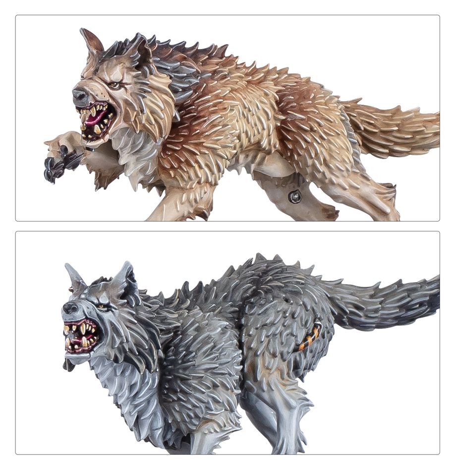 Space Wolves Army Set (Español)