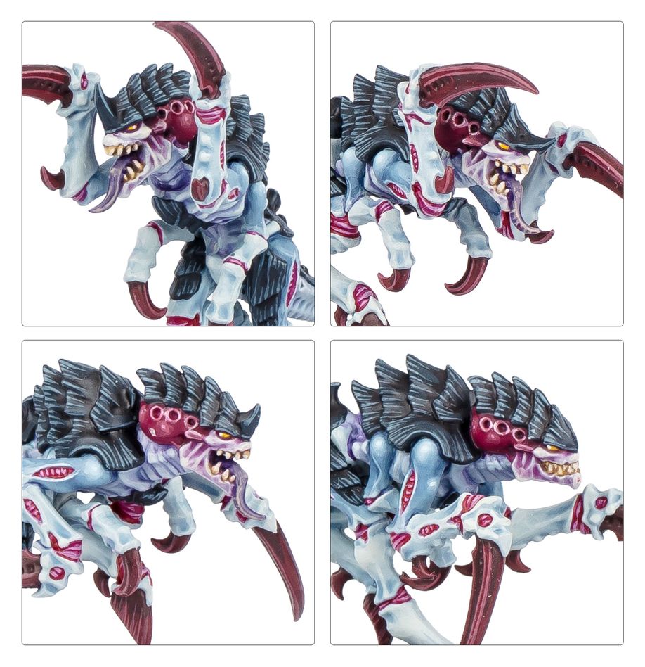 Kill Team: Typhon (English)