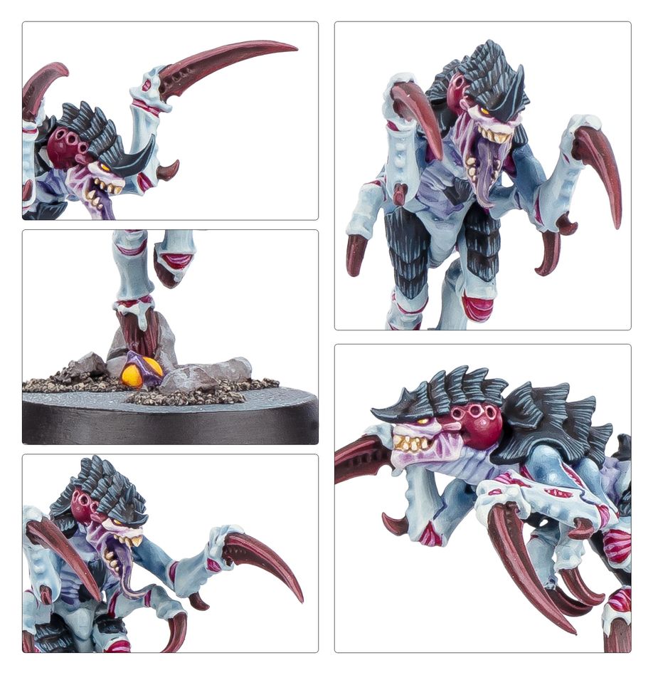 Kill Team: Typhon (English)