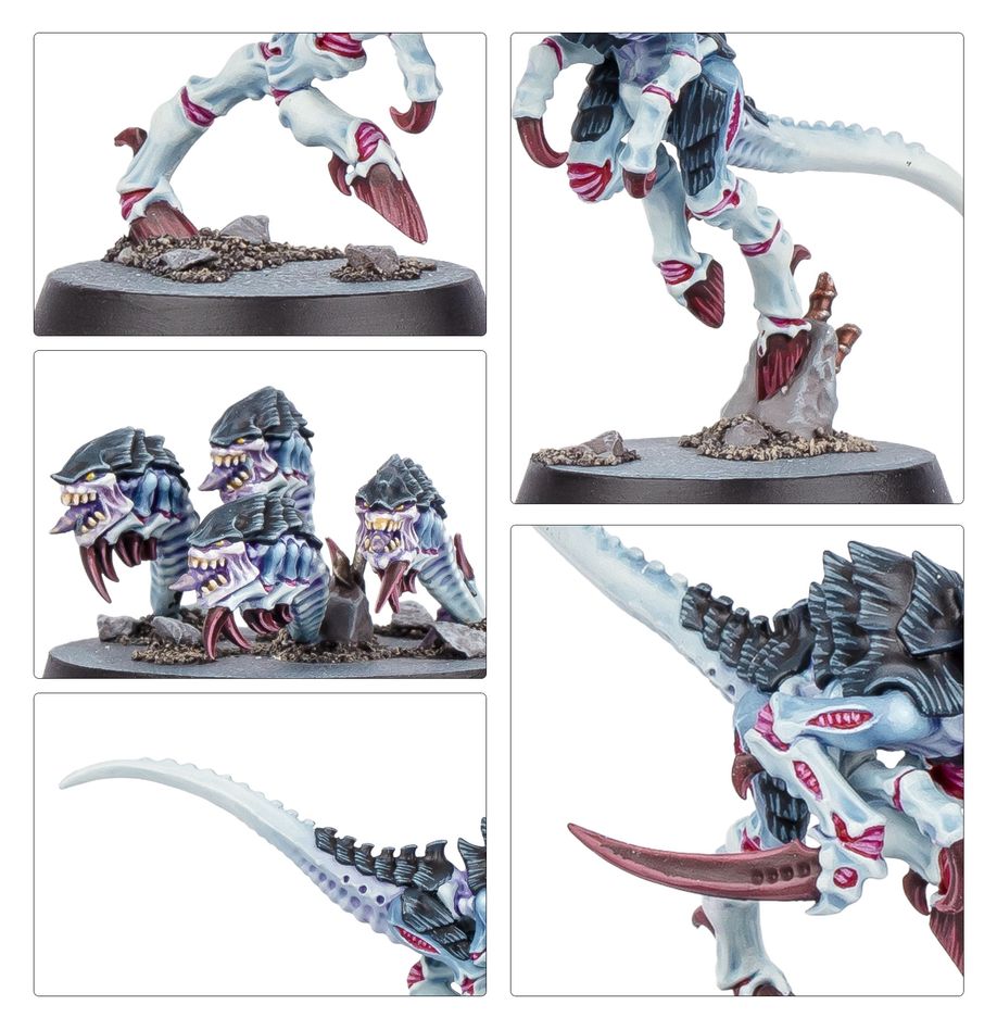 Kill Team: Typhon (Español)