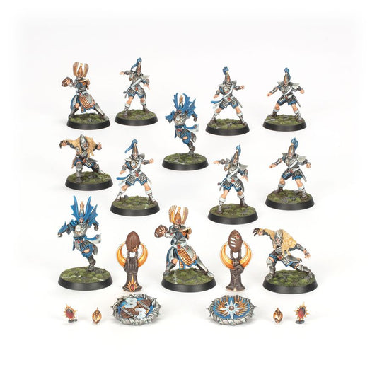 High Elf Blood Bowl Team