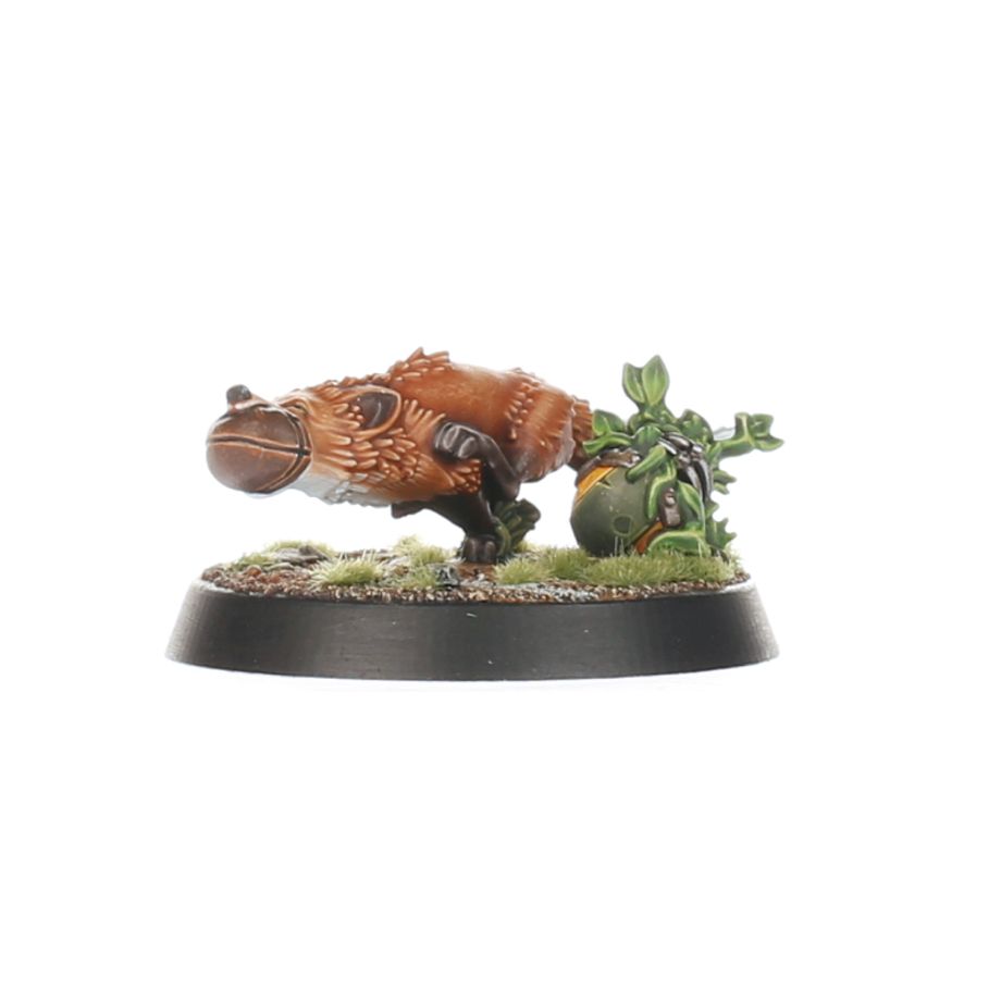 Gnome Blood Bowl Team: The Glimdwarrow Groundhogs