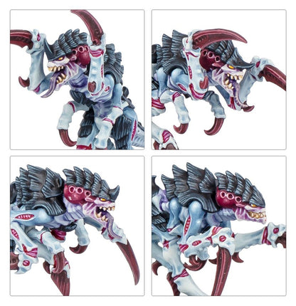 Kill Team: Typhon (English)