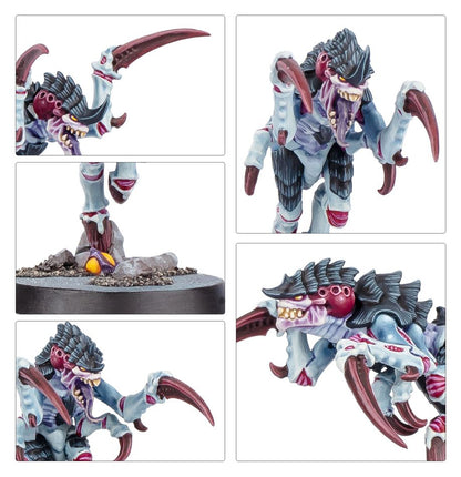 Kill Team: Typhon (English)