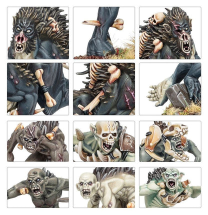Warcry: Royal Beastflayers