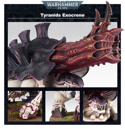 Haruspex / Exocrine