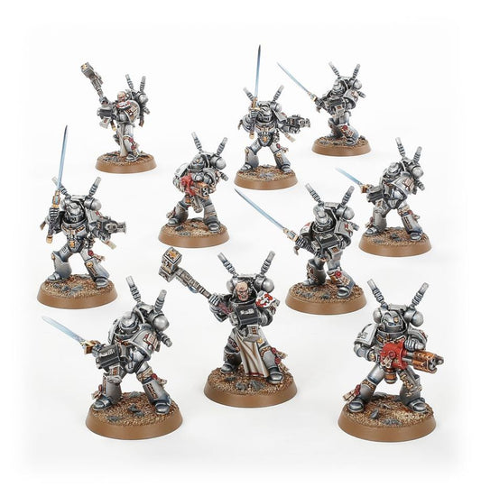 Grey Knights Purifier Squad / Purgation Squad / Grey Knights Interceptor Squad