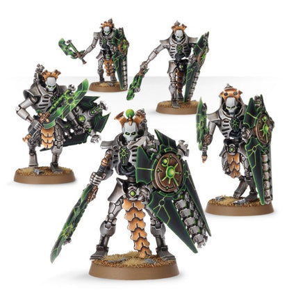 Triarch Praetorians / Lychguard