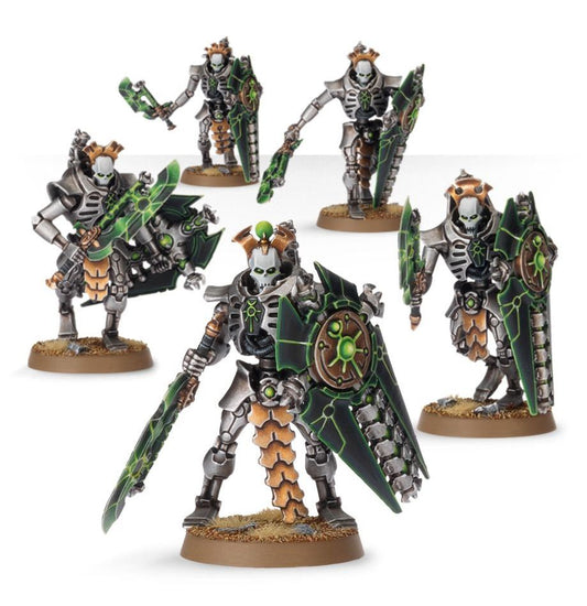 Triarch Praetorians / Lychguard