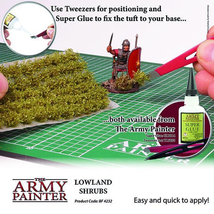 Lowland Shrubs